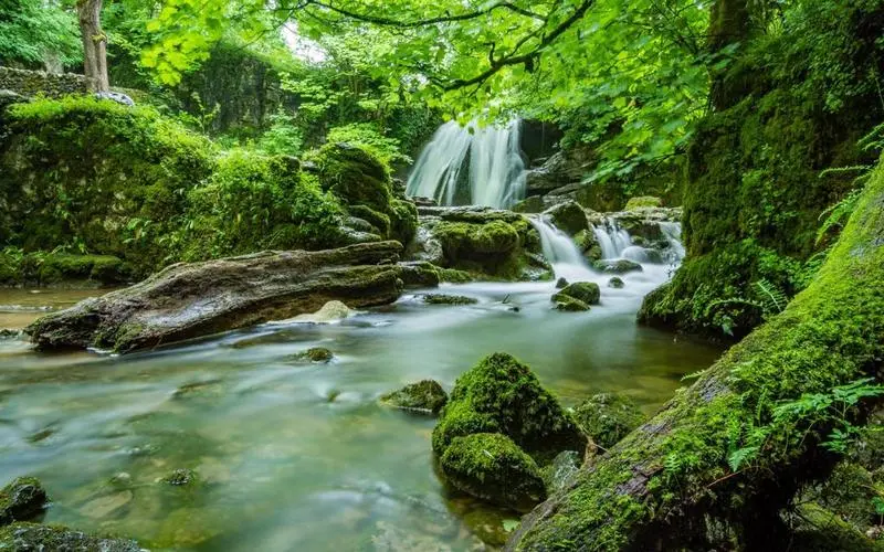 绿色高性能高性能